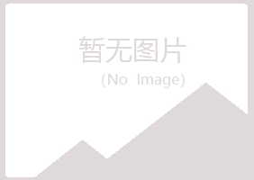 青铜峡夏岚制造有限公司